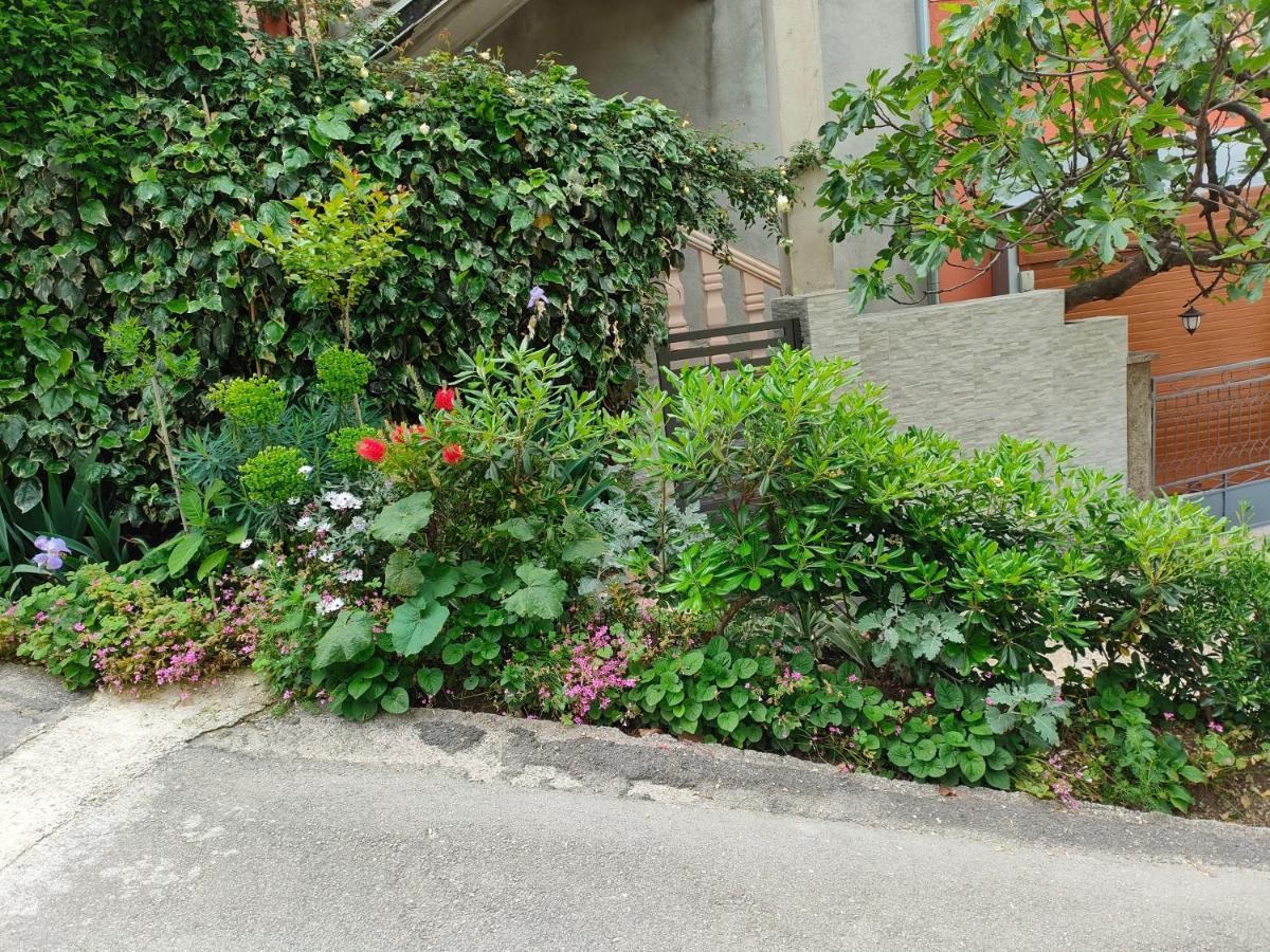 Studio Apartman Rea Κότορ Εξωτερικό φωτογραφία